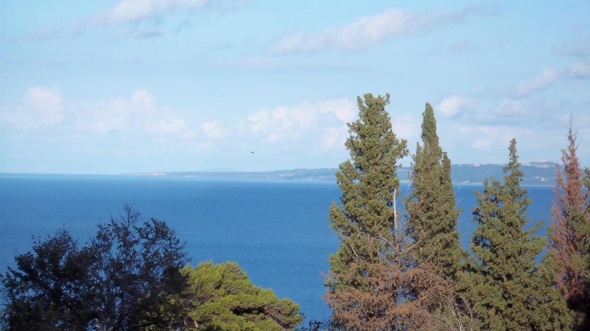 Belvedere Zakynthos Studios วาซิลิคอส ห้อง รูปภาพ