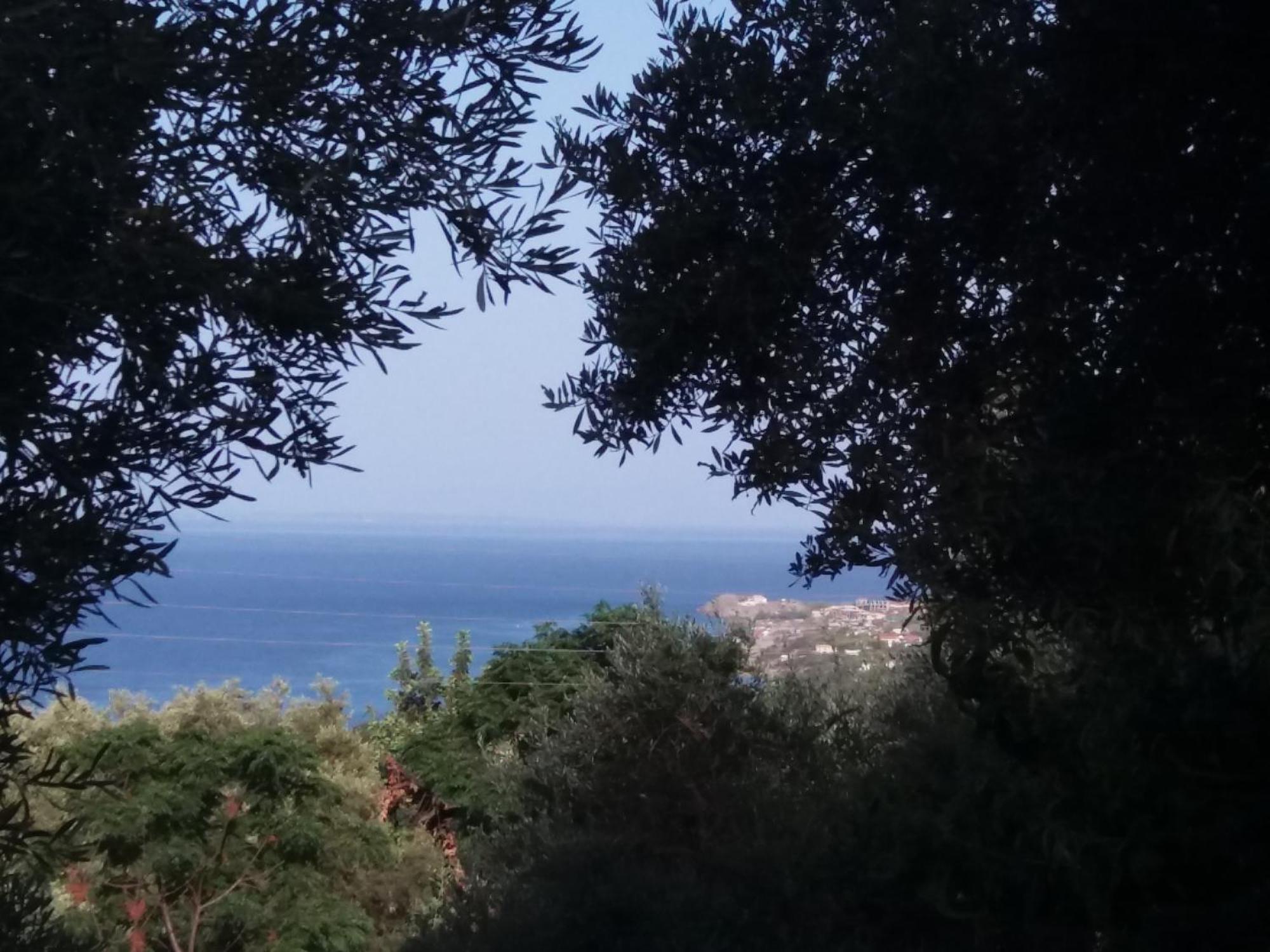 Belvedere Zakynthos Studios วาซิลิคอส ห้อง รูปภาพ