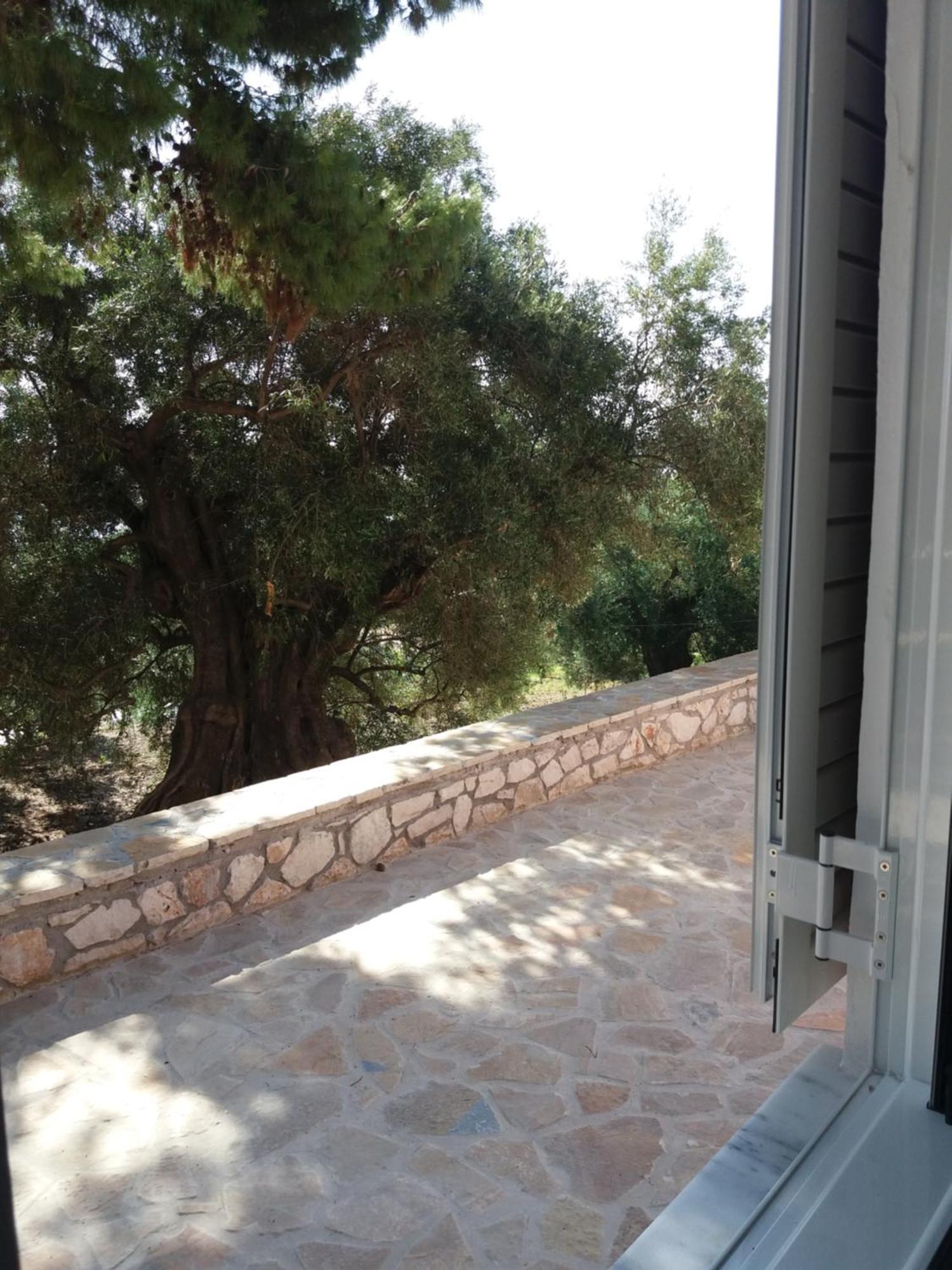 Belvedere Zakynthos Studios วาซิลิคอส ห้อง รูปภาพ