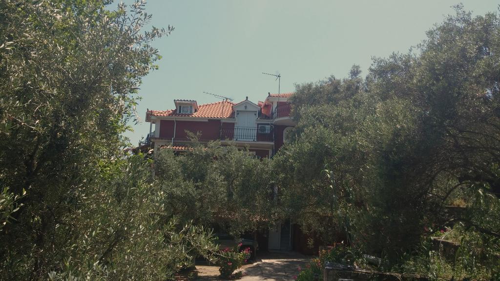 Belvedere Zakynthos Studios วาซิลิคอส ภายนอก รูปภาพ